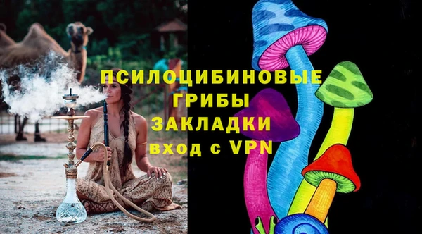 шишки Алексеевка