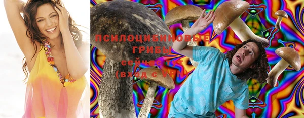 ешки Арсеньев