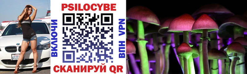 Псилоцибиновые грибы Psilocybine cubensis Сыктывкар