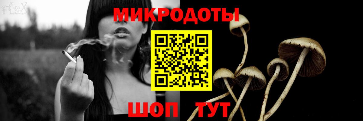 Сыктывкар  хочу   Вход с VPN  Псилоцибиновые грибы Psilocybe 