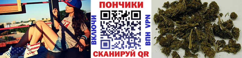 закладки  Сыктывкар  Канабис ГИДРОПОН 
